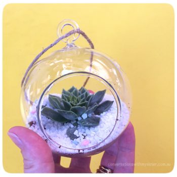 conversationswithmysister_make your own succulent terrarium