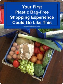 Committing to shopping plastic bag-free is all about getting organised. The first step is always the hardest however stick with it. I am here to prove if I can change my habits anyone can.