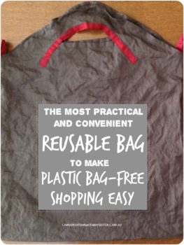 This reusable bag is small enough to fit in just about any size bag you carry with you everyday, making refusing plastic bags while out shopping super easy!