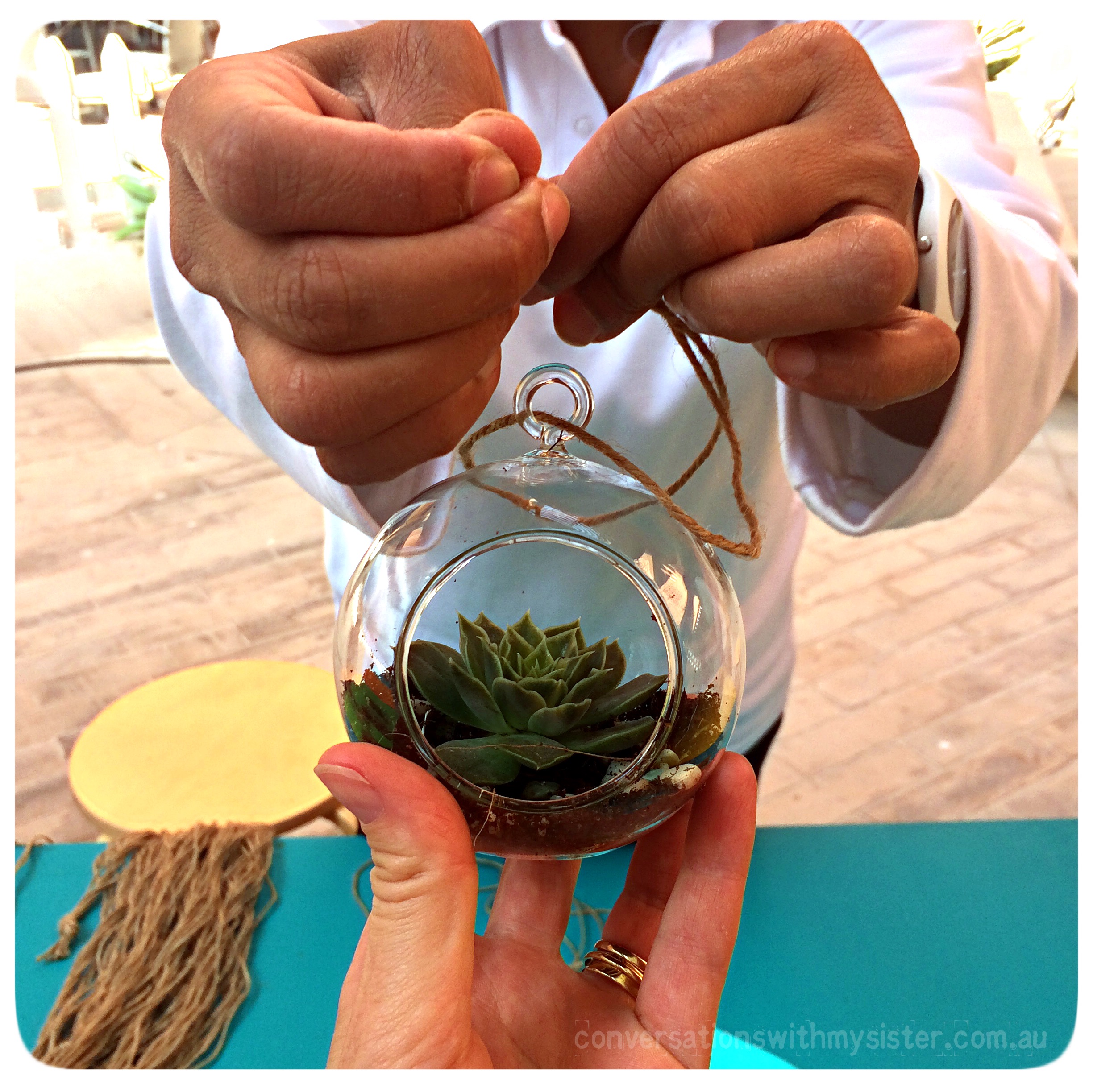A succulent terrarium is an ‘on trend’ ecosystem and the perfect way to add a touch of green to a little corner of your home. Choosing to feature succulents and cacti is perfect for us ‘desert dwellers’, as these plants require little water to grow. Here are the 6 simple #DIY steps you need to follow to make your very own.