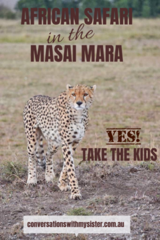 How to get there, where to stay, predicted daily itinerary and everything in between - as shown to us by our local Masai guide #familyadventure #africansafari #masaimara