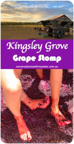 Delighted squeals from participants, reacting to their first sensations of grapes squishing between their bare toes, created curious excitement amongst spectators at the recent Kingsley Grove Grape Stomp. It is not every day you have the opportunity to step into a tub filled with cold grapes however, participating in this age-old tradition is an activity voted as an experience which should definitely be added to your bucket list.