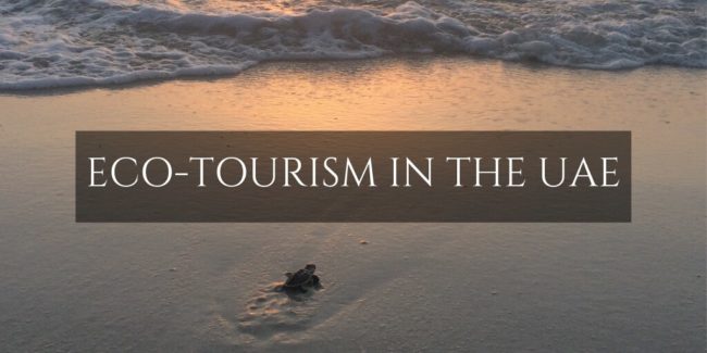 UAE-Eco-tourism